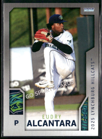 2025 Lynchburg Hillcats Eudry Alcantara