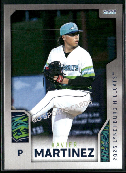 2025 Lynchburg Hillcats Xavier Martinez