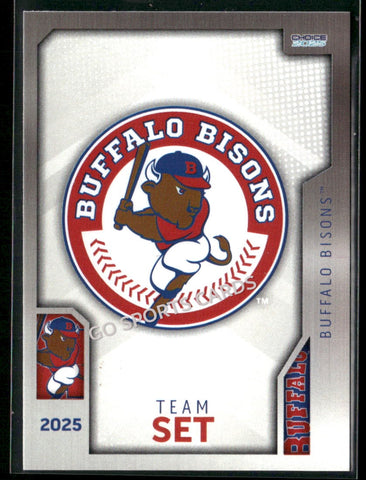 2025 Buffalo Bisons Header Checklist