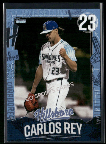 2025 Hillsboro Hops Carlos Rey