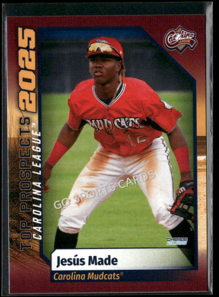 2025 Carolina League Top Prospects Jesus Made