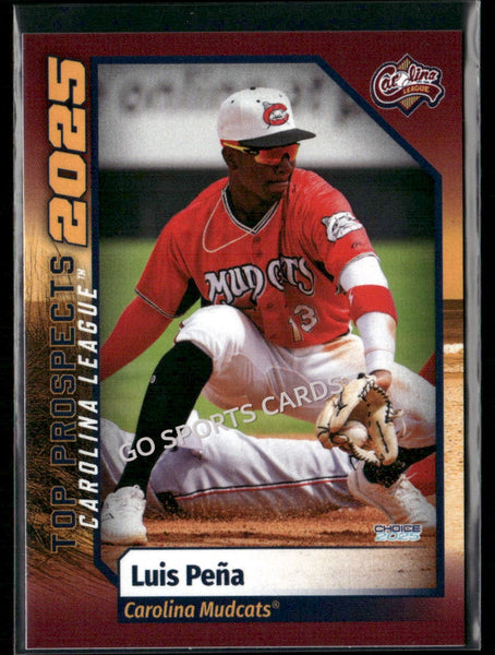 2025 Carolina League Top Prospects Luis Pena