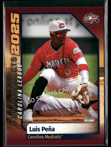 2025 Carolina League Top Prospects Luis Pena