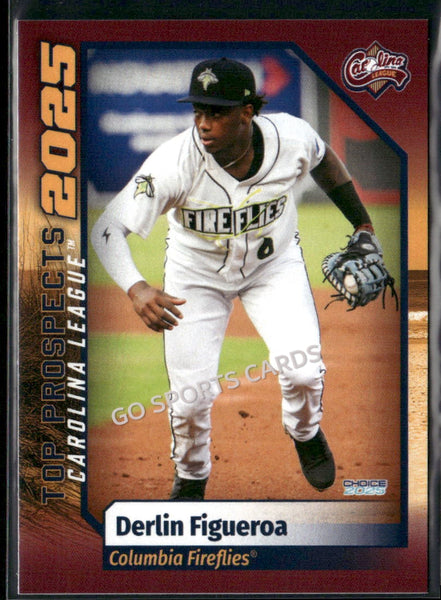 2025 Carolina League Top Prospects Derlin Figueroa