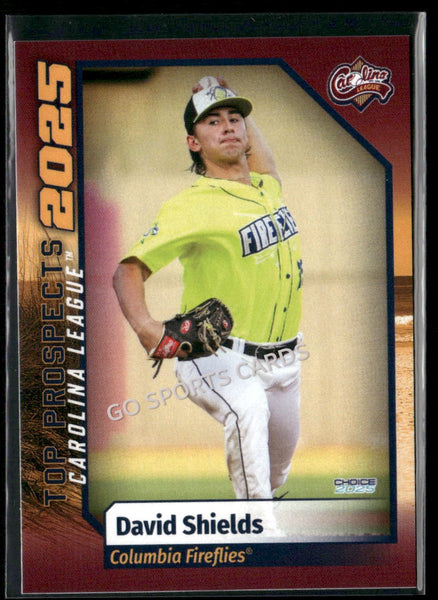 2025 Carolina League Top Prospects David Shields