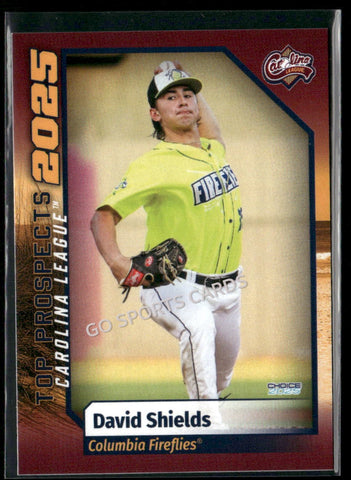 2025 Carolina League Top Prospects David Shields