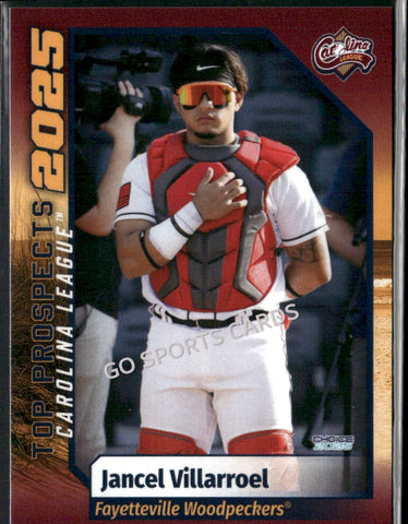 2025 Carolina League Top Prospects Jancel Villarroel
