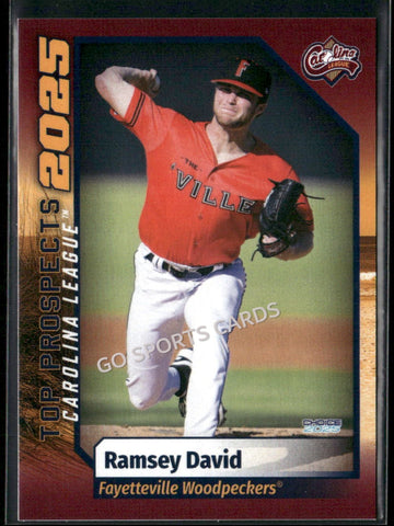 2025 Carolina League Top Prospects Ramsey David