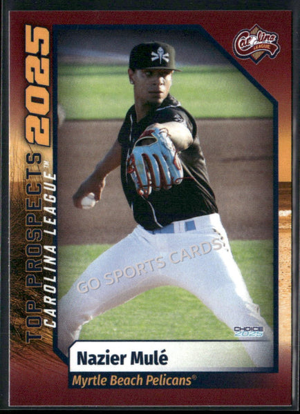 2025 Carolina League Top Prospects Nazier Mule