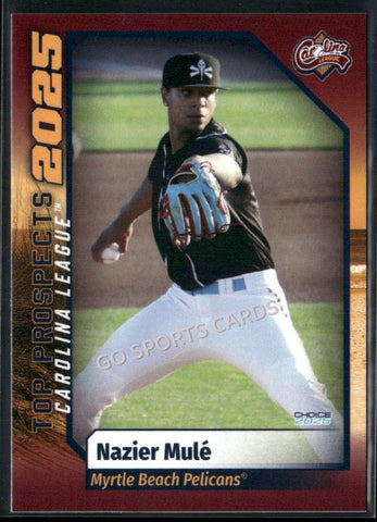 2025 Carolina League Top Prospects Nazier Mule