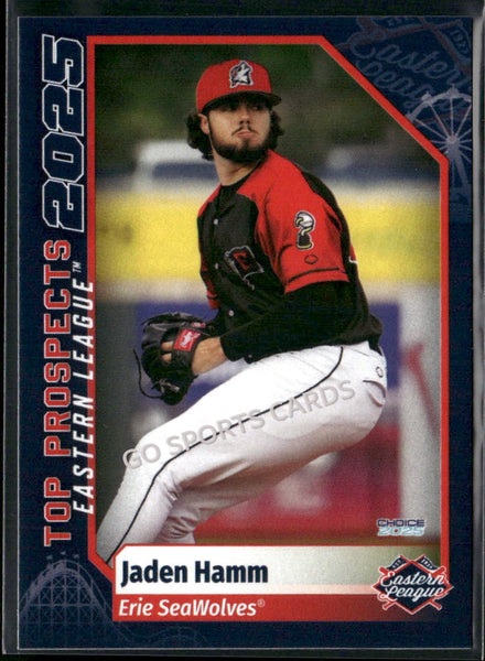 2025 Eastern League Top Prospects Jaden Hamm