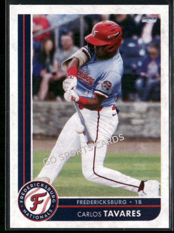 2025 Fredericksburg Nationals Carlos Tavares