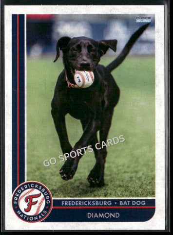 2025 Fredericksburg Nationals Diamond Bat Dog