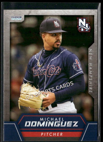 2025 New Hampshire Fisher Cats Michael Dominguez