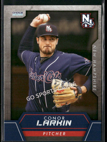 2025 New Hampshire Fisher Cats Conor Larkin