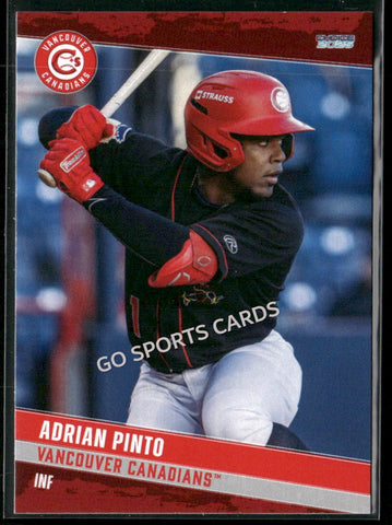 2025 Vancouver Canadians Adrian Pinto