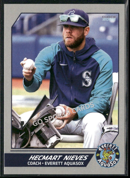 2025 Everett AquaSox Hecmart Nieves