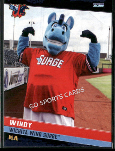 2025 Wichita Wind Surge Windy Mascot