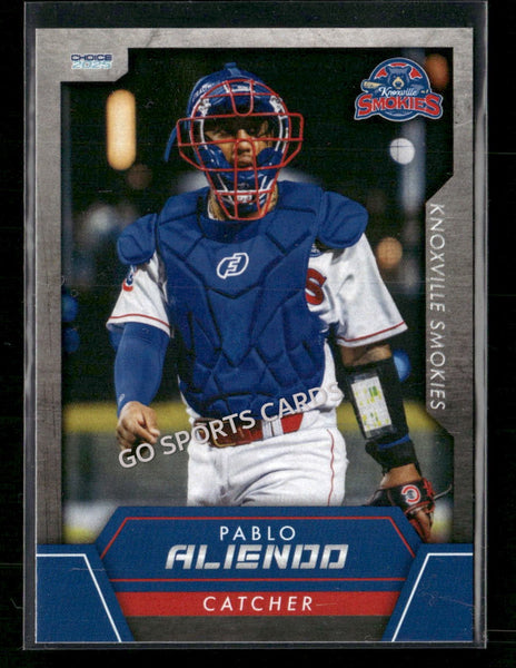 2025 Knoxville Smokies Pablo Aliendo