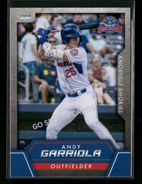 2025 Knoxville Smokies Andy Garriola