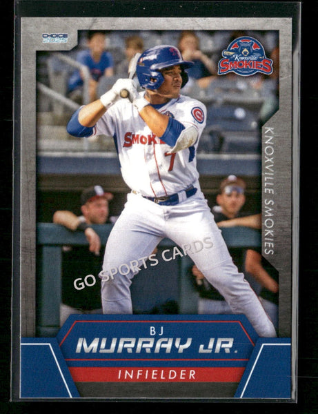 2025 Knoxville Smokies BJ Murray Jr