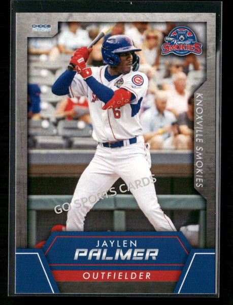 2025 Knoxville Smokies Jaylen Palmer