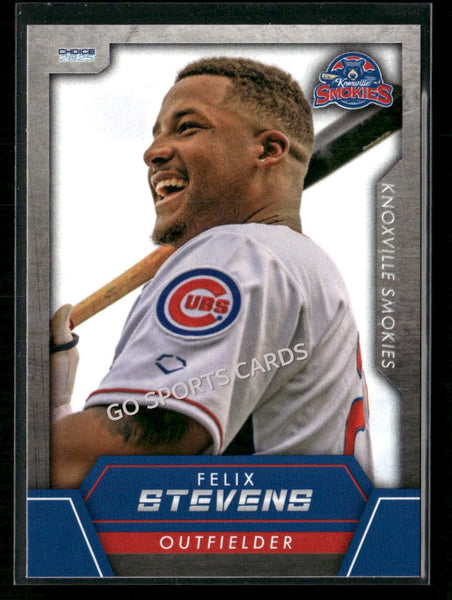 2025 Knoxville Smokies Felix Stevens