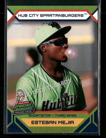 2025 Hub City Spartanburgers Esteban Mejia