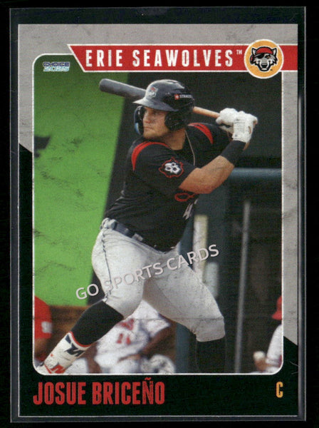 2025 Erie SeaWolves Josue Briceno