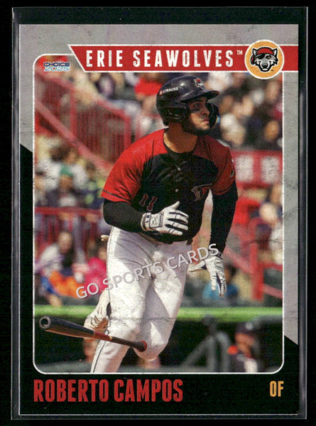 2025 Erie SeaWolves Roberto Campos