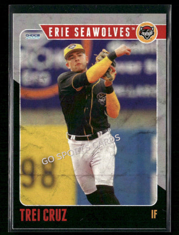 2025 Erie SeaWolves Trei Cruz