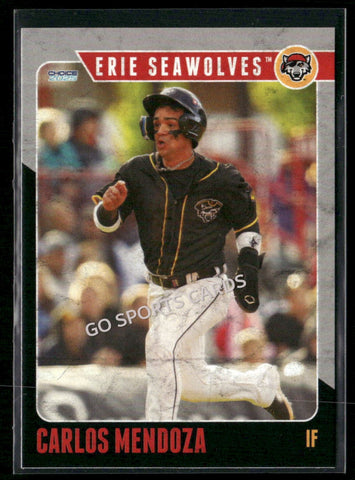 2025 Erie SeaWolves Carlos Mendoza