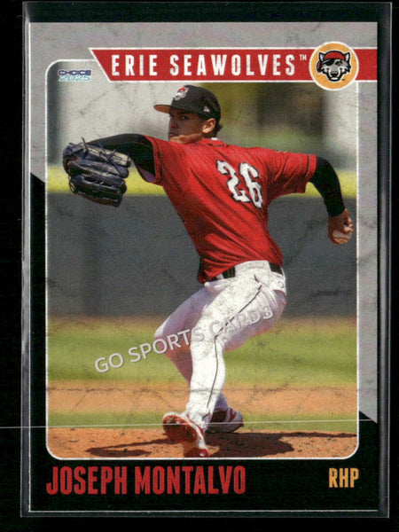 2025 Erie SeaWolves Joseph Montalvo