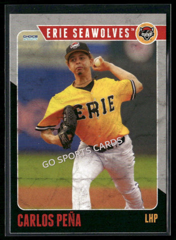 2025 Erie SeaWolves Carlos Pena