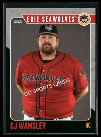2025 Erie SeaWolves CJ Wamsley