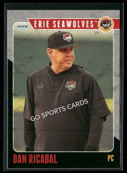 2025 Erie SeaWolves Dan Ricabal