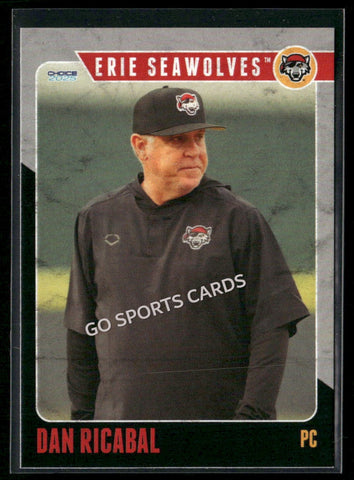 2025 Erie SeaWolves Dan Ricabal