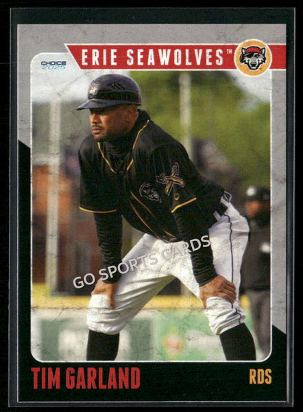 2025 Erie SeaWolves Tim Garland