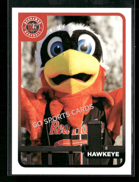 2024 Fargo Moorhead Redhawks Hawkeye Mascot
