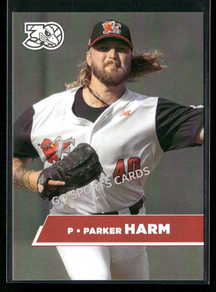 2025 Fargo Moorhead Redhawks Parker Harm