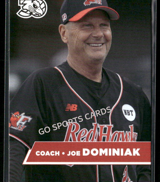 2025 Fargo Moorhead Redhawks Joe Dominiak
