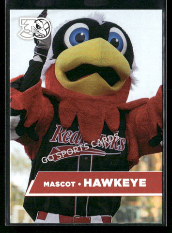2025 Fargo Moorhead Redhawks Hawkeye Mascot