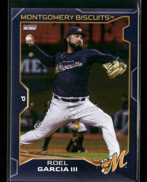 2025 Montgomery Biscuits Roel Garcia III