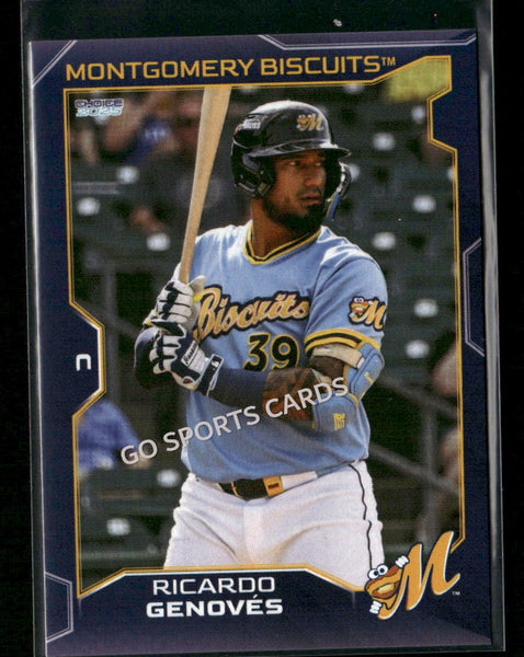 2025 Montgomery Biscuits Ricardo Genoves