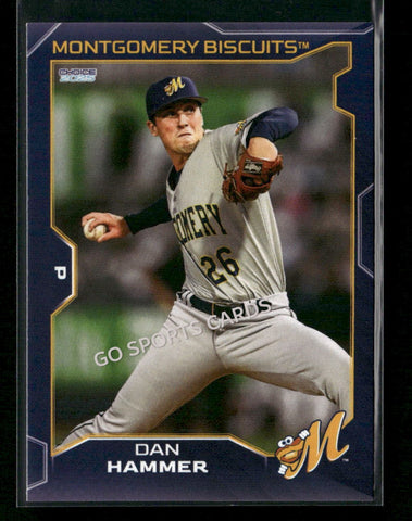 2025 Montgomery Biscuits Dan Hammer