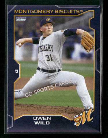 2025 Montgomery Biscuits Owen Wild