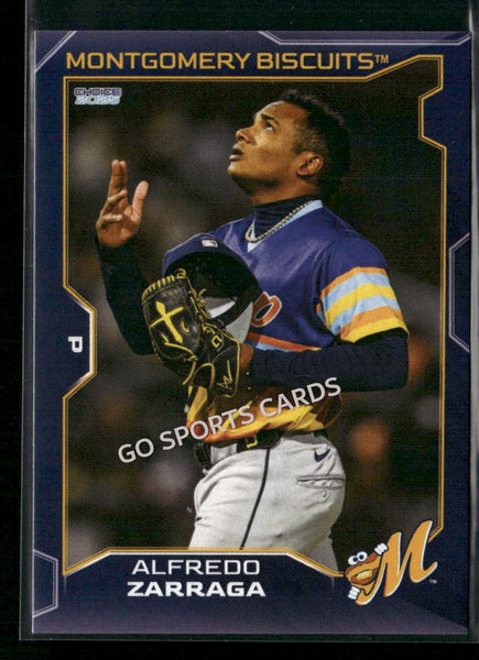 2025 Montgomery Biscuits Alfredo Zarraga