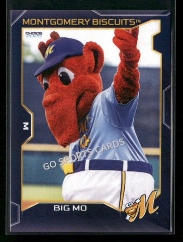 2025 Montgomery Biscuits Big Mo Mascot