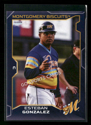 2025 Montgomery Biscuits Esteban Gonzalez