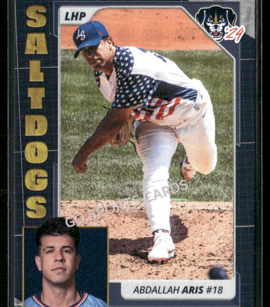 2024 Lincoln Saltdogs Abdallah Aris